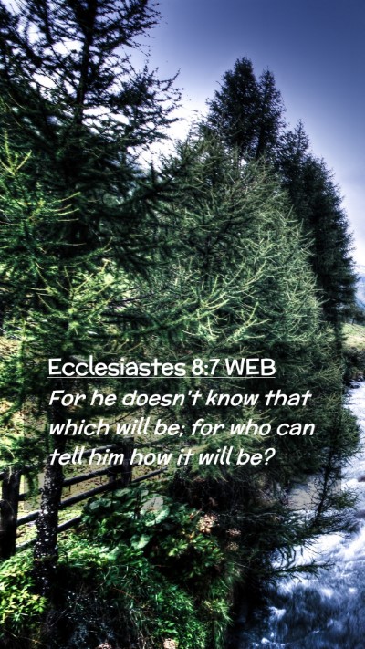 Picture 02 - Ecclesiastes 8:7 WEB Mobile Phone Wallpaper - For he doesn't know that which will be; for who - Mobile Bible Verse Wallpaper