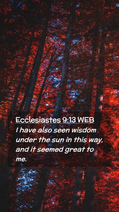 Picture 02 - Ecclesiastes 9:13 WEB Mobile Phone Wallpaper - I have also seen wisdom under the sun in this - Mobile Bible Verse Wallpaper