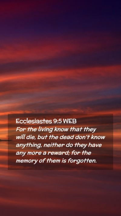 Picture 02 - Ecclesiastes 9:5 WEB Mobile Phone Wallpaper - For the living know that they will die, but the - Mobile Bible Verse Wallpaper