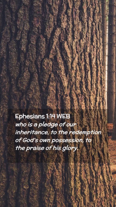 Picture 02 - Ephesians 1:14 WEB Mobile Phone Wallpaper - who is a pledge of our inheritance, to the - Mobile Bible Verse Wallpaper
