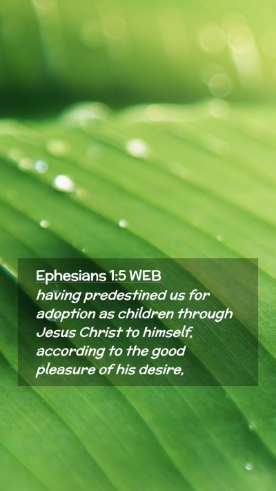 Picture 02 - Ephesians 1:5 WEB Mobile Phone Wallpaper - having predestined us for adoption as children - Mobile Bible Verse Wallpaper