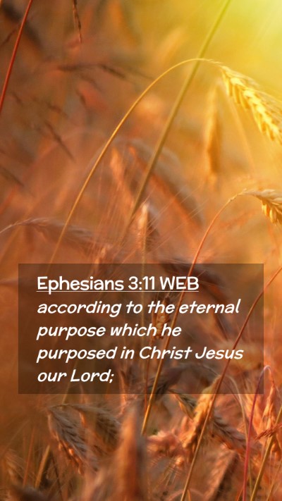 Picture 02 - Ephesians 3:11 WEB Mobile Phone Wallpaper - according to the eternal purpose which he - Mobile Bible Verse Wallpaper
