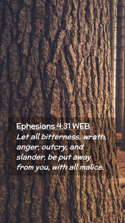 Picture 02 - Ephesians 4:31 WEB Mobile Phone Wallpaper - Let all bitterness, wrath, anger, outcry, and - Mobile Bible Verse Wallpaper