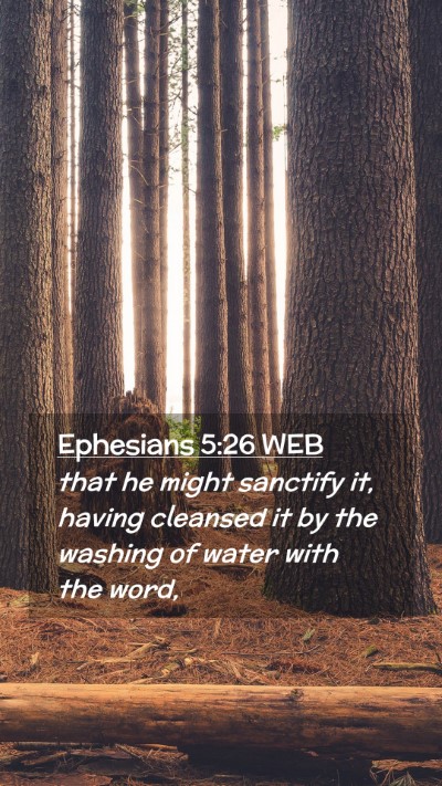 Picture 02 - Ephesians 5:26 WEB Mobile Phone Wallpaper - that he might sanctify it, having cleansed it by - Mobile Bible Verse Wallpaper