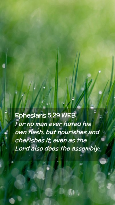 Picture 02 - Ephesians 5:29 WEB Mobile Phone Wallpaper - For no man ever hated his own flesh; but - Mobile Bible Verse Wallpaper