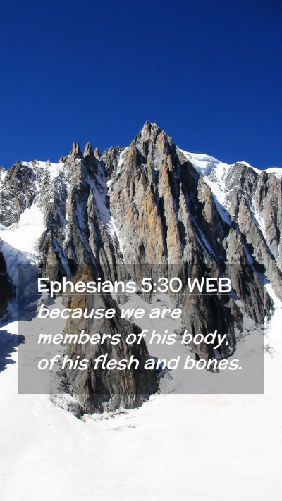Picture 02 - Ephesians 5:30 WEB Mobile Phone Wallpaper - because we are members of his body, of his flesh - Mobile Bible Verse Wallpaper