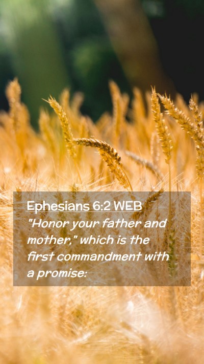 Picture 02 - Ephesians 6:2 WEB Mobile Phone Wallpaper - 