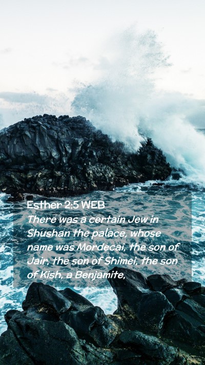 Picture 02 - Esther 2:5 WEB Mobile Phone Wallpaper - There was a certain Jew in Shushan the palace, - Mobile Bible Verse Wallpaper