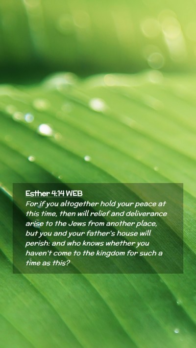 Picture 02 - Esther 4:14 WEB Mobile Phone Wallpaper - For if you altogether hold your peace at this - Mobile Bible Verse Wallpaper