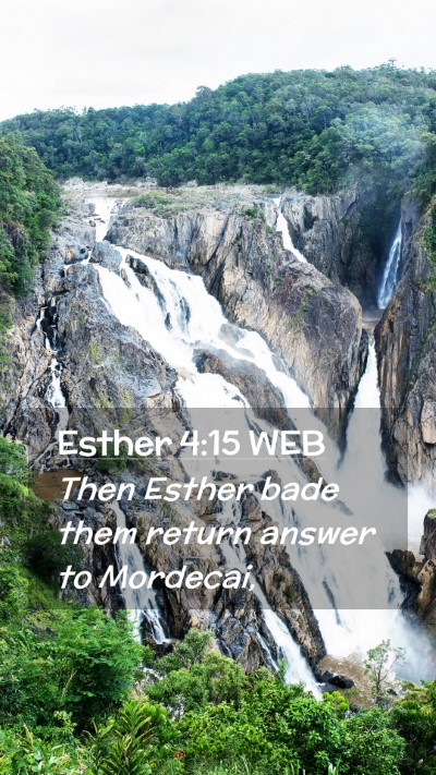 Picture 02 - Esther 4:15 WEB Mobile Phone Wallpaper - Then Esther bade them return answer to - Mobile Bible Verse Wallpaper