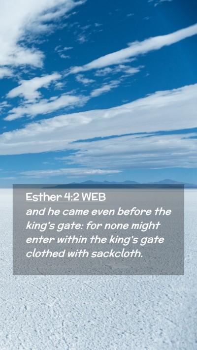 Picture 02 - Esther 4:2 WEB Mobile Phone Wallpaper - and he came even before the king's gate: for none - Mobile Bible Verse Wallpaper
