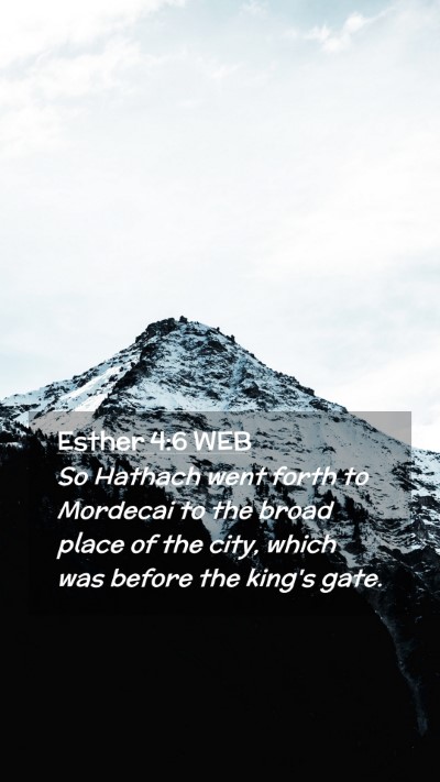 Picture 02 - Esther 4:6 WEB Mobile Phone Wallpaper - So Hathach went forth to Mordecai to the broad - Mobile Bible Verse Wallpaper
