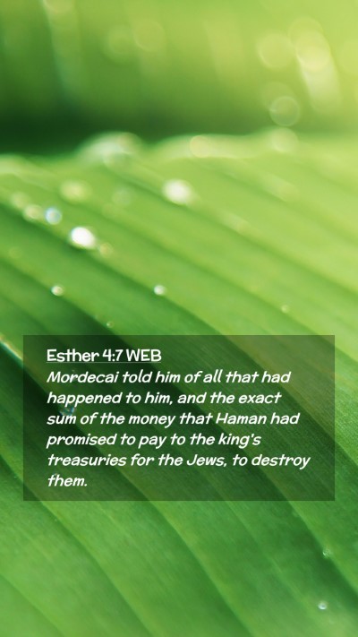 Picture 02 - Esther 4:7 WEB Mobile Phone Wallpaper - Mordecai told him of all that had happened to - Mobile Bible Verse Wallpaper