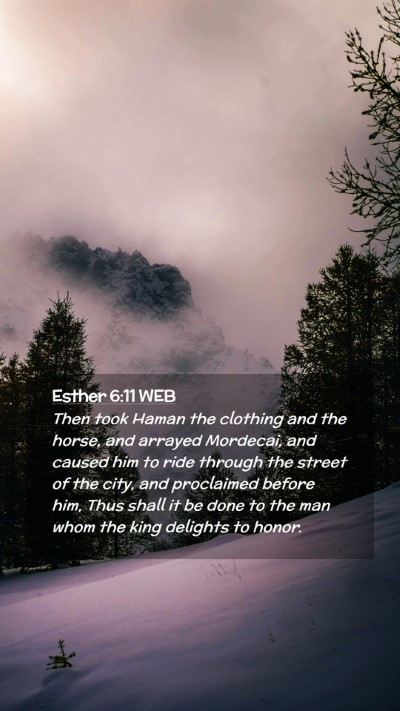 Picture 02 - Esther 6:11 WEB Mobile Phone Wallpaper - Then took Haman the clothing and the horse, and - Mobile Bible Verse Wallpaper