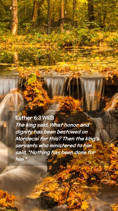 Picture 02 - Esther 6:3 WEB Mobile Phone Wallpaper - The king said, What honor and dignity has been - Mobile Bible Verse Wallpaper