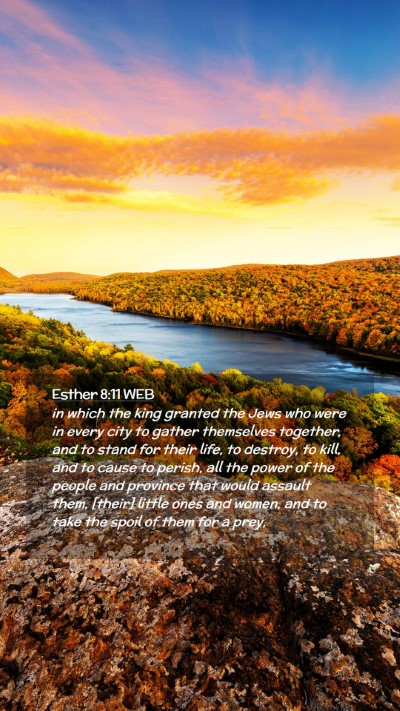Picture 02 - Esther 8:11 WEB Mobile Phone Wallpaper - in which the king granted the Jews who were in - Mobile Bible Verse Wallpaper
