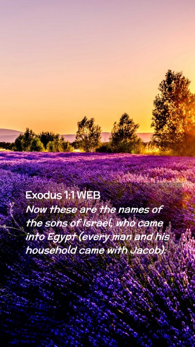 Picture 02 - Exodus 1:1 WEB Mobile Phone Wallpaper - Now these are the names of the sons of Israel, - Mobile Bible Verse Wallpaper