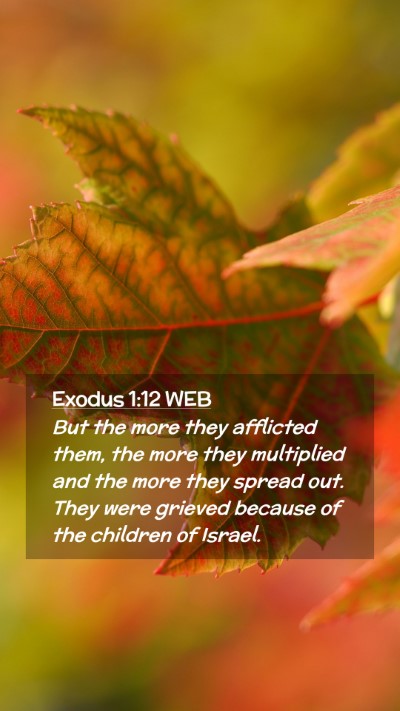 Picture 02 - Exodus 1:12 WEB Mobile Phone Wallpaper - But the more they afflicted them, the more they - Mobile Bible Verse Wallpaper