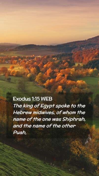 Picture 02 - Exodus 1:15 WEB Mobile Phone Wallpaper - The king of Egypt spoke to the Hebrew midwives, - Mobile Bible Verse Wallpaper