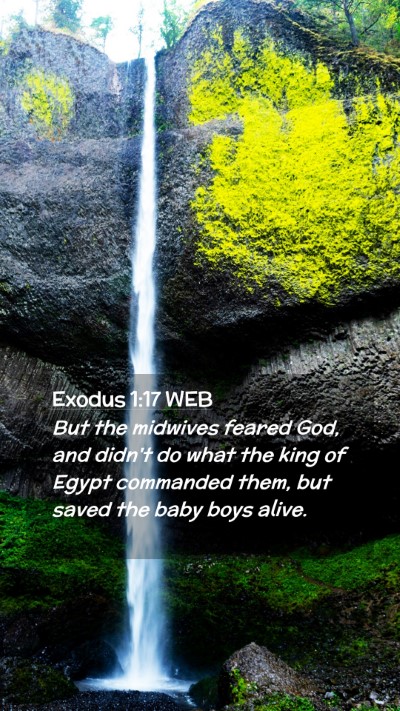 Picture 02 - Exodus 1:17 WEB Mobile Phone Wallpaper - But the midwives feared God, and didn't do what - Mobile Bible Verse Wallpaper