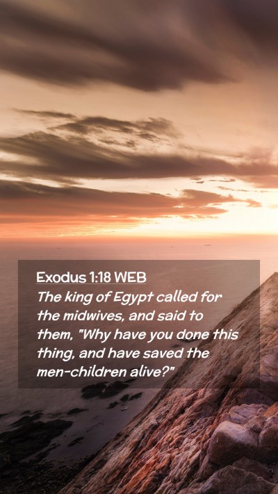 Picture 02 - Exodus 1:18 WEB Mobile Phone Wallpaper - The king of Egypt called for the midwives, and - Mobile Bible Verse Wallpaper