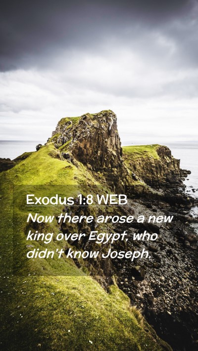 Picture 02 - Exodus 1:8 WEB Mobile Phone Wallpaper - Now there arose a new king over Egypt, who didn't - Mobile Bible Verse Wallpaper
