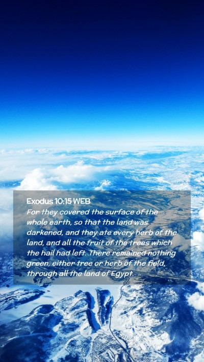 Picture 02 - Exodus 10:15 WEB Mobile Phone Wallpaper - For they covered the surface of the whole earth, - Mobile Bible Verse Wallpaper