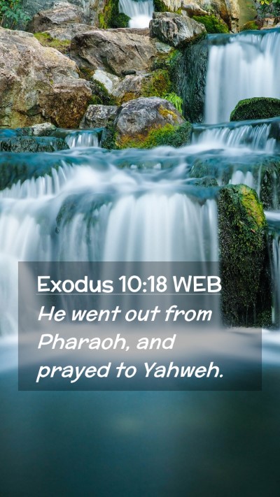 Picture 02 - Exodus 10:18 WEB Mobile Phone Wallpaper - He went out from Pharaoh, and prayed to - Mobile Bible Verse Wallpaper