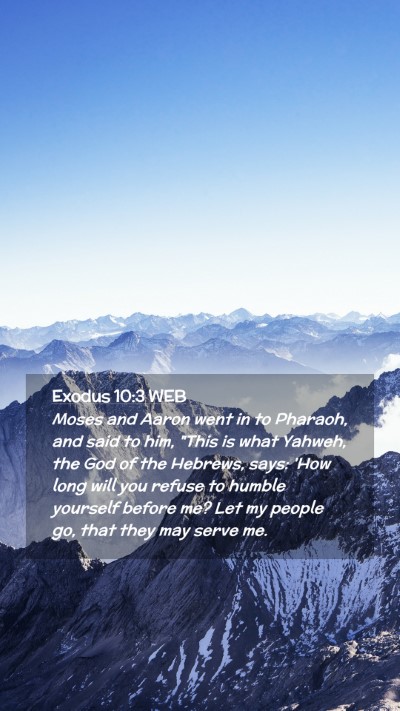Picture 02 - Exodus 10:3 WEB Mobile Phone Wallpaper - Moses and Aaron went in to Pharaoh, and said to - Mobile Bible Verse Wallpaper