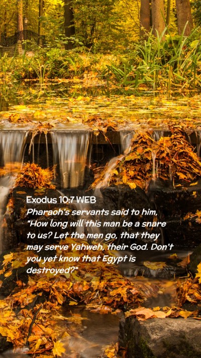 Picture 02 - Exodus 10:7 WEB Mobile Phone Wallpaper - Pharaoh's servants said to him, 