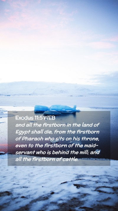 Picture 02 - Exodus 11:5 WEB Mobile Phone Wallpaper - and all the firstborn in the land of Egypt shall - Mobile Bible Verse Wallpaper