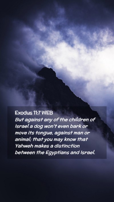 Picture 02 - Exodus 11:7 WEB Mobile Phone Wallpaper - But against any of the children of Israel a dog - Mobile Bible Verse Wallpaper