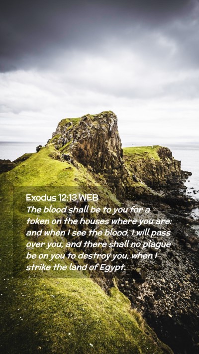 Picture 02 - Exodus 12:13 WEB Mobile Phone Wallpaper - The blood shall be to you for a token on the - Mobile Bible Verse Wallpaper