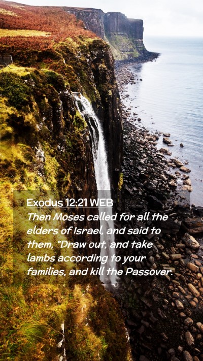 Picture 02 - Exodus 12:21 WEB Mobile Phone Wallpaper - Then Moses called for all the elders of Israel, - Mobile Bible Verse Wallpaper