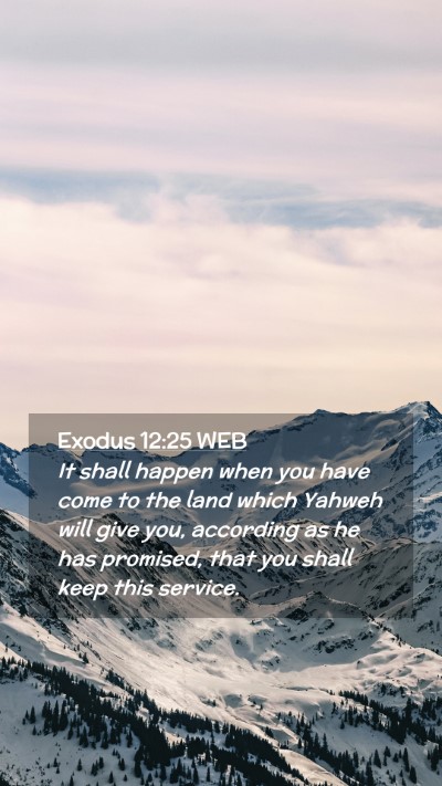 Picture 02 - Exodus 12:25 WEB Mobile Phone Wallpaper - It shall happen when you have come to the land - Mobile Bible Verse Wallpaper