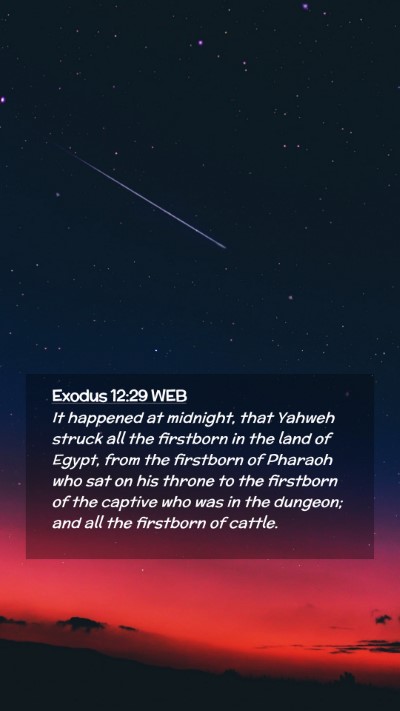 Picture 02 - Exodus 12:29 WEB Mobile Phone Wallpaper - It happened at midnight, that Yahweh struck all - Mobile Bible Verse Wallpaper