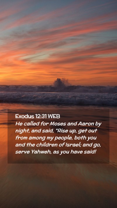 Picture 02 - Exodus 12:31 WEB Mobile Phone Wallpaper - He called for Moses and Aaron by night, and said, - Mobile Bible Verse Wallpaper