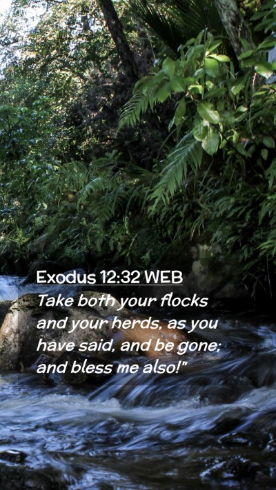 Picture 02 - Exodus 12:32 WEB Mobile Phone Wallpaper - Take both your flocks and your herds, as you have - Mobile Bible Verse Wallpaper
