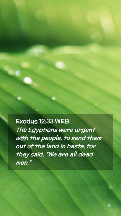 Picture 02 - Exodus 12:33 WEB Mobile Phone Wallpaper - The Egyptians were urgent with the people, to - Mobile Bible Verse Wallpaper