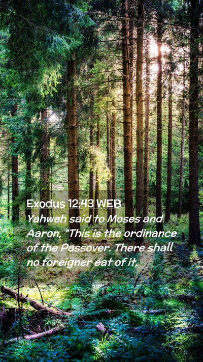 Picture 02 - Exodus 12:43 WEB Mobile Phone Wallpaper - Yahweh said to Moses and Aaron, 