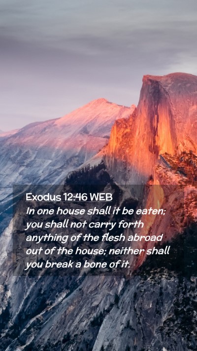 Picture 02 - Exodus 12:46 WEB Mobile Phone Wallpaper - In one house shall it be eaten; you shall not - Mobile Bible Verse Wallpaper