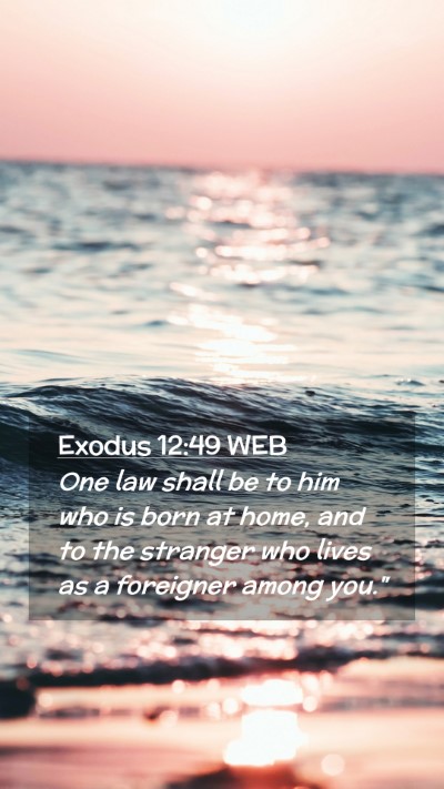 Picture 02 - Exodus 12:49 WEB Mobile Phone Wallpaper - One law shall be to him who is born at home, and - Mobile Bible Verse Wallpaper