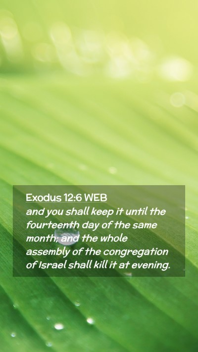 Picture 02 - Exodus 12:6 WEB Mobile Phone Wallpaper - and you shall keep it until the fourteenth day of - Mobile Bible Verse Wallpaper