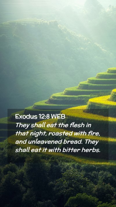 Picture 02 - Exodus 12:8 WEB Mobile Phone Wallpaper - They shall eat the flesh in that night, roasted - Mobile Bible Verse Wallpaper