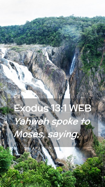 Picture 02 - Exodus 13:1 WEB Mobile Phone Wallpaper - Yahweh spoke to Moses, - Mobile Bible Verse Wallpaper