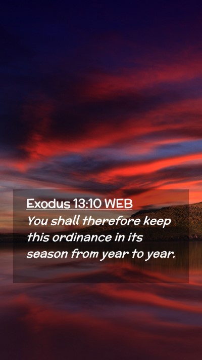 Picture 02 - Exodus 13:10 WEB Mobile Phone Wallpaper - You shall therefore keep this ordinance in its - Mobile Bible Verse Wallpaper