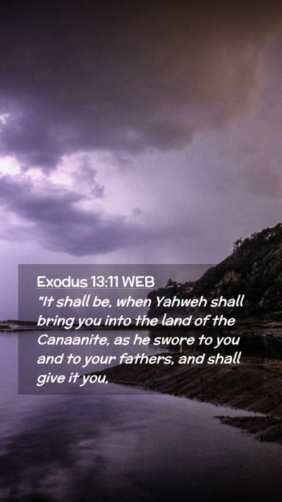 Picture 02 - Exodus 13:11 WEB Mobile Phone Wallpaper - 