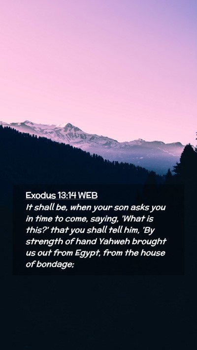 Picture 02 - Exodus 13:14 WEB Mobile Phone Wallpaper - It shall be, when your son asks you in time to - Mobile Bible Verse Wallpaper
