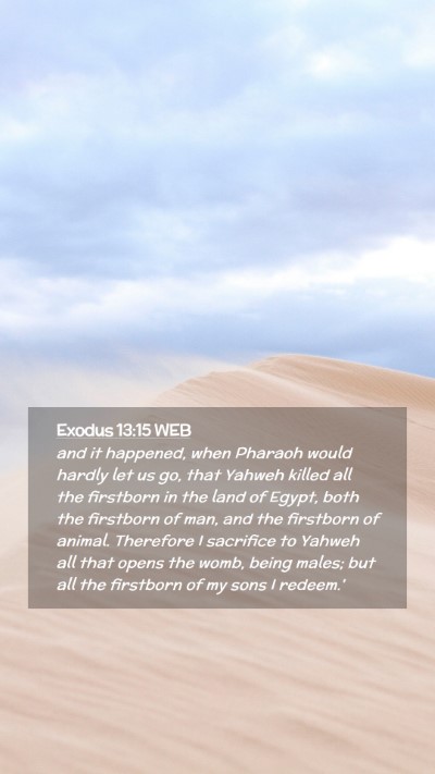 Picture 02 - Exodus 13:15 WEB Mobile Phone Wallpaper - and it happened, when Pharaoh would hardly let us - Mobile Bible Verse Wallpaper