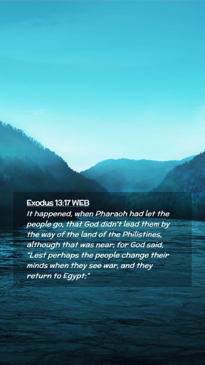Picture 02 - Exodus 13:17 WEB Mobile Phone Wallpaper - It happened, when Pharaoh had let the people go, - Mobile Bible Verse Wallpaper